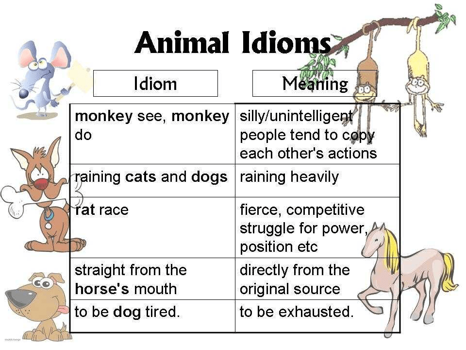 глаголы животные и идиомы 
