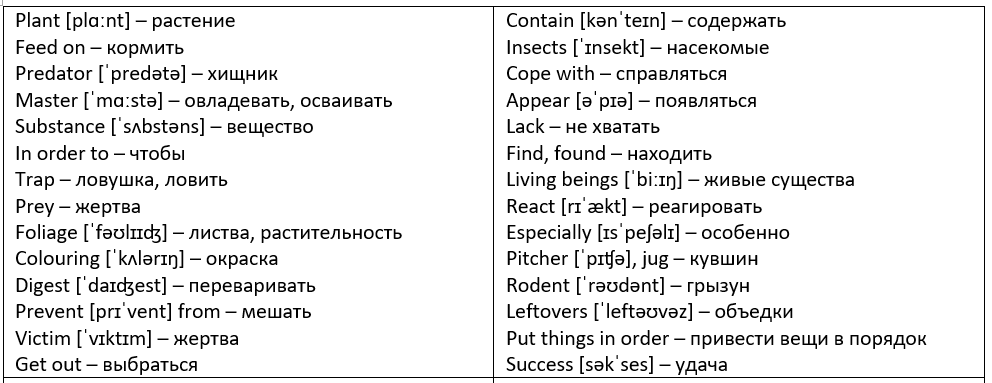 словарик к тексту